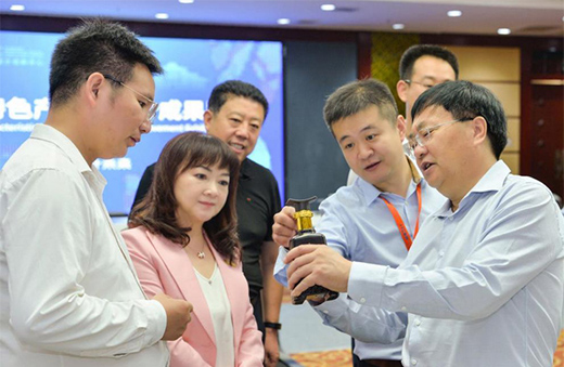 第三屆河北國際工業(yè)設(shè)計周定州分會場啟幕